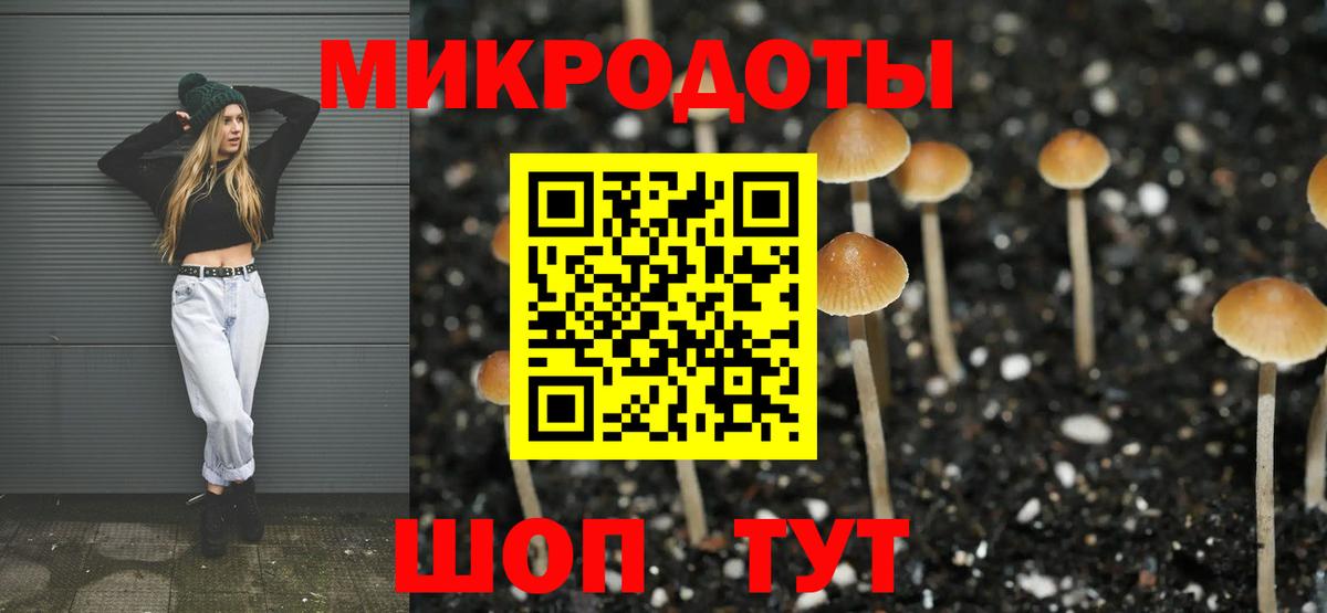 Псилоцибиновые грибы Psilocybine cubensis Радужный